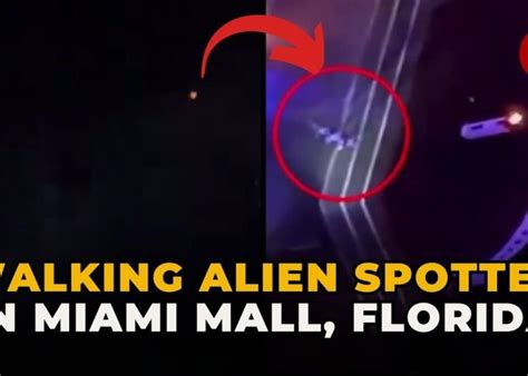 Miami Mall Creature Video Goes Viral